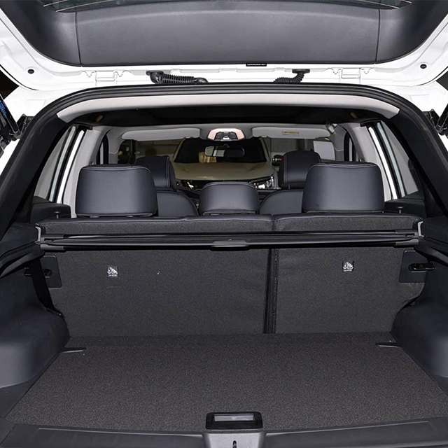 2020 Venucia Xing (Star) Cargo Liner | Sleek Trunk Defense for Modern Sedans
