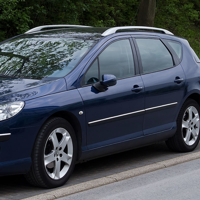 OEM Rain Guards Supply fit Peugeot 407