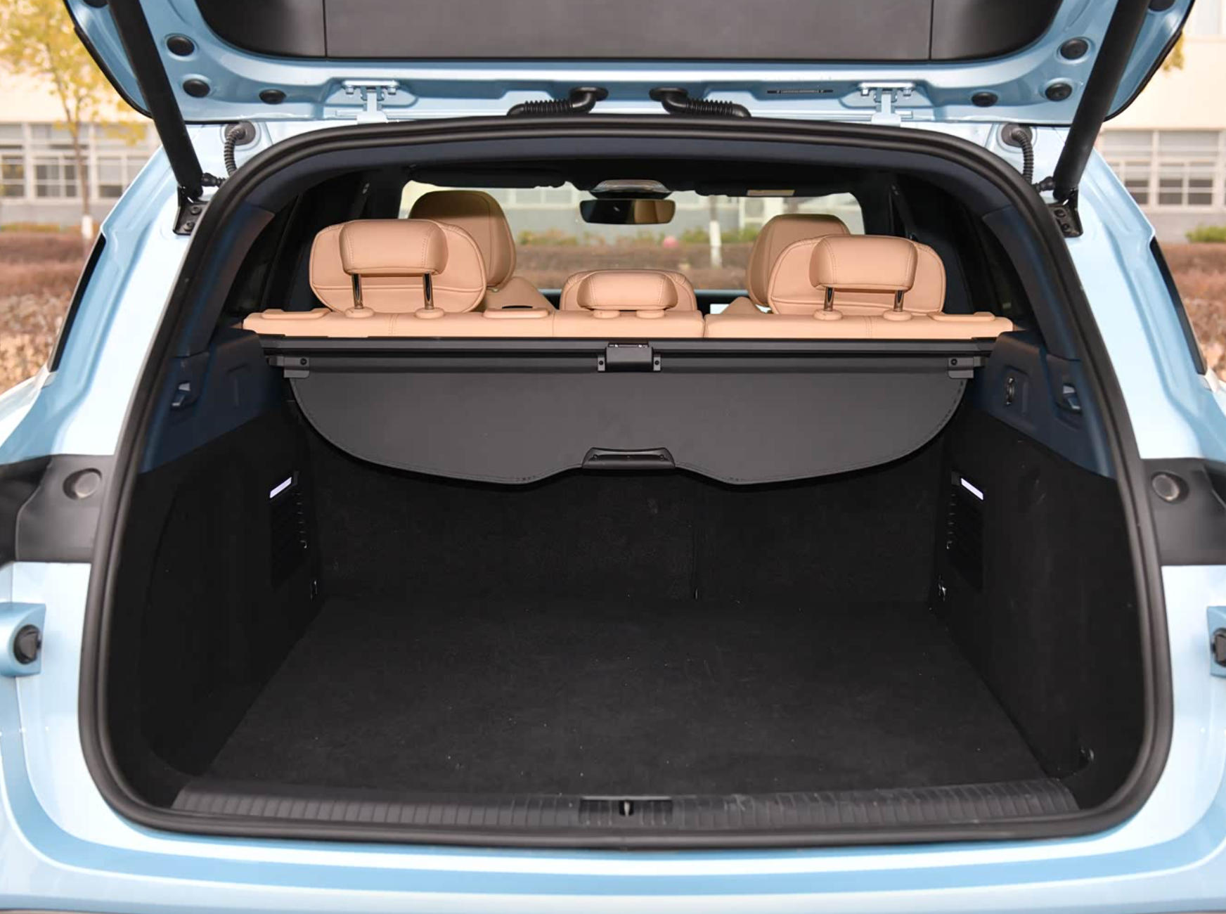 Sleek Premium Cargo Mat for the Innovative 2021-2023 VOYAH Free
