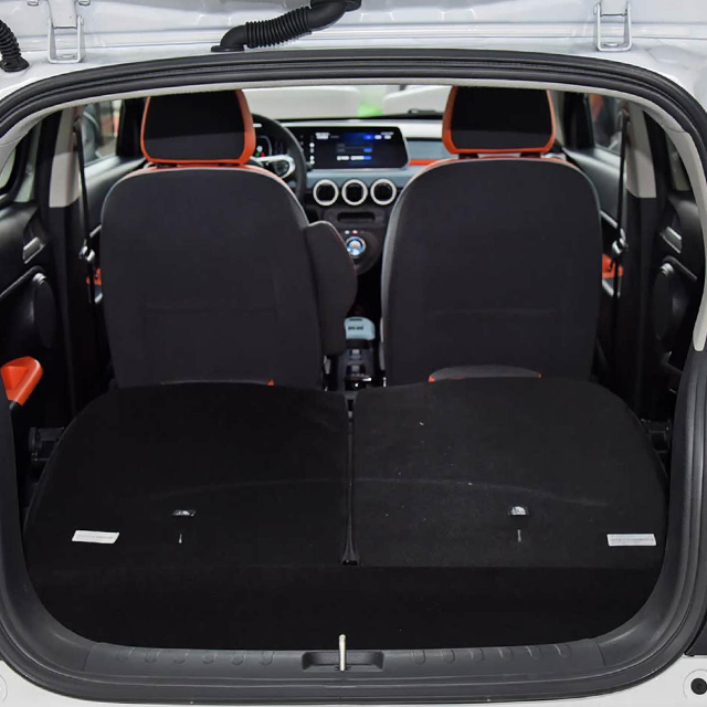 Playful Rear Protector for 2019-2022 GWM ORA Black Cat – EV City Hatch Star