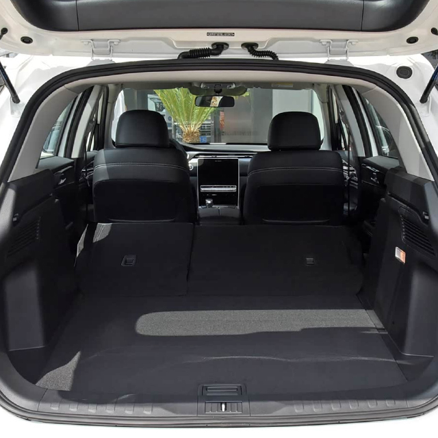 Durable Trunk Mat Supply for 2012-2021 Trumpchi GS5
